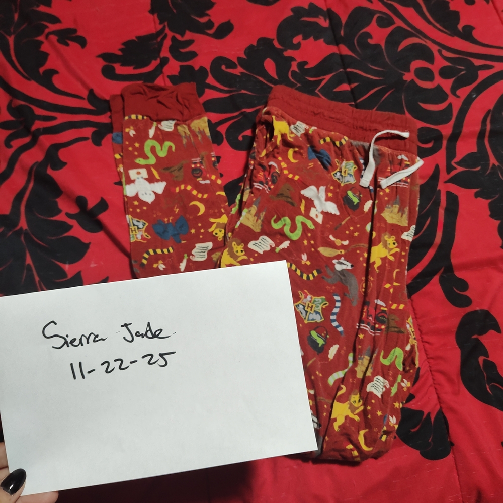 Harry Potter Adult Women's Pants Size Large